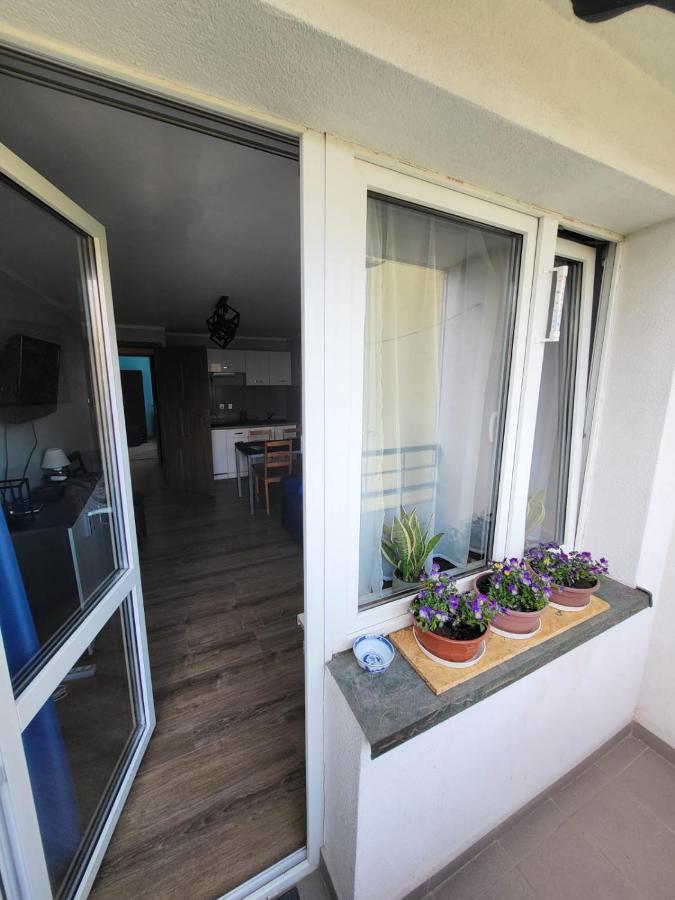 Apartament Sloneczna Centrum زاكوباني المظهر الخارجي الصورة